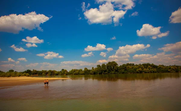 Gyönyörű nyári táj kilátással a folyóra — Stock Fotó