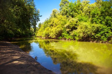 Yaz aylarında ormandaki nehir