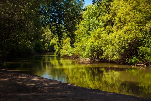 Yaz aylarında ormandaki nehir