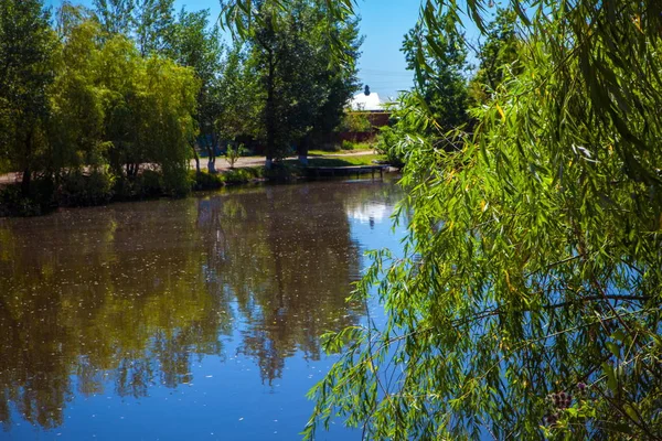 Río en el bosque en verano — Foto de Stock