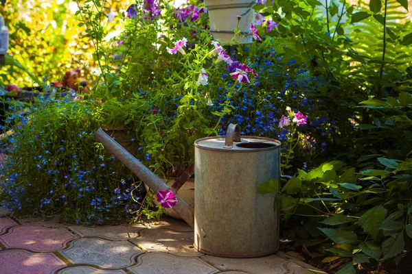 Garten Eisen Gießkanne mit Blumen in der Nähe clubmi — Stockfoto
