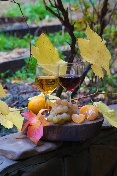 Vino tinto y blanco con mandarina y uvas, bodegón — Foto de Stock