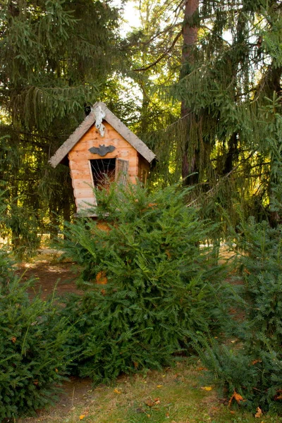 Eine dekorative Struktur im Park. Hütte auf Hühnerbeinen. — Stockfoto