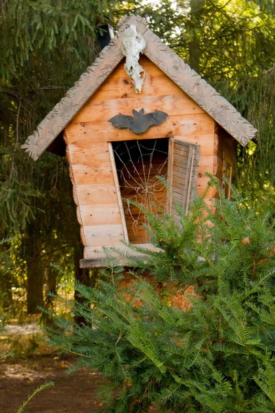 公園の装飾的な構造。鶏の足の小屋. — ストック写真