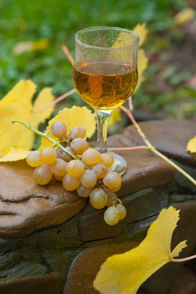 Beyaz şarap, üzüm ve sonbahar yaprakları ile natürmort — Stok fotoğraf