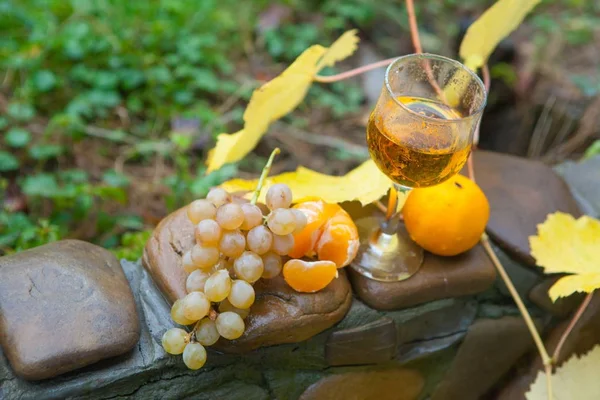 Stilleven met witte wijn, druiven, Mandarijn en Herfstbladeren — Stockfoto