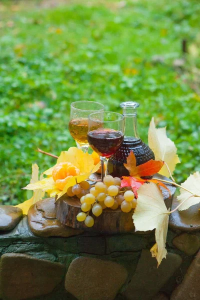 Kırmızı ve beyaz şarap mandalina ve üzüm, natürmort — Stok fotoğraf