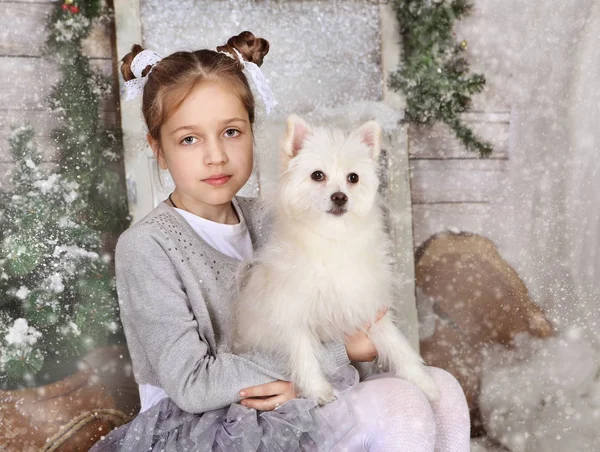 Girl White Dog Christmas Photo Studio — Stock Photo, Image