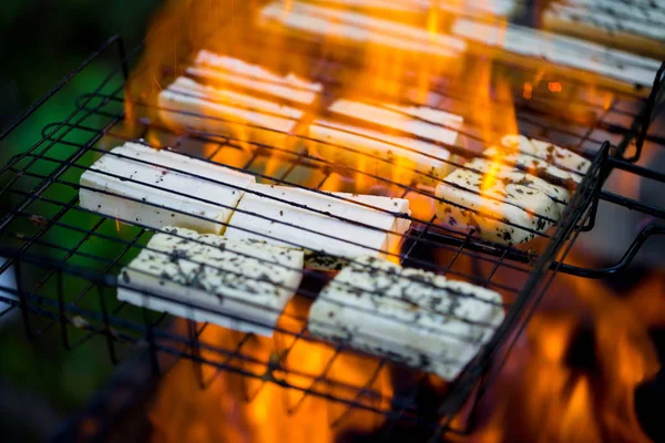 Halumi Sýr Smažené Grilu — Stock fotografie