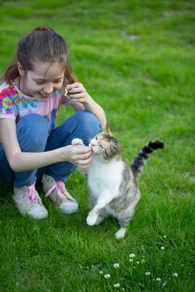 A girl feeds a stray cat