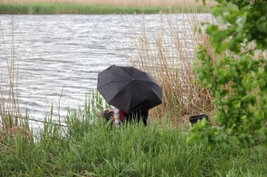 Şemsiyenin altındaki bir nehirde balıkçılar balık tutmak için balık yakalar.