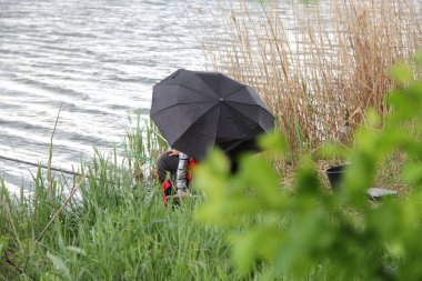 Şemsiyenin altındaki bir nehirde balıkçılar balık tutmak için balık yakalar.