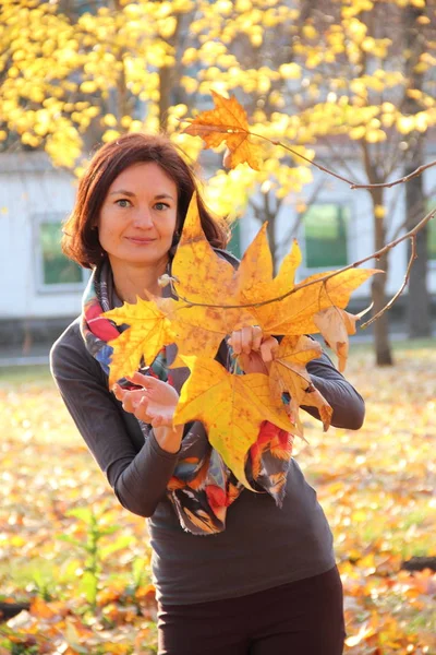 Chica Con Hojas Amarillas Las Manos Parque Otoño — Foto de Stock