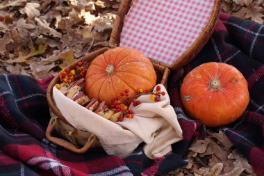 Sonbahar parkında piknik. Termosta çay ve sandviçlerle piknik.
