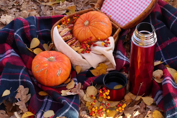 picnic in the autumn park. Picnic with sandwiches and tea in a thermos