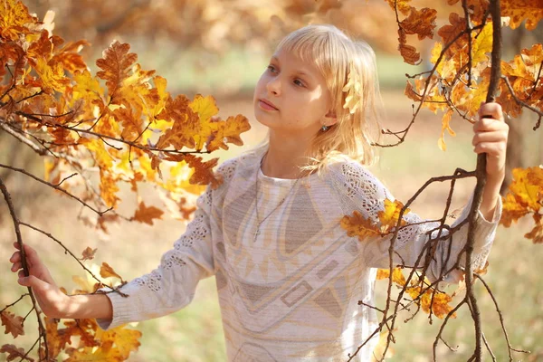 Little Beautiful Girl Walks Autumn Park — Stock Photo, Image