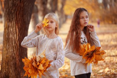 Sonbahar yaprakları buketi olan iki kız parkta yürüyor.