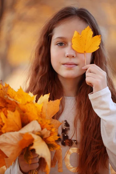 Dziewczyna Bukietem Klon Liści Parku Jesień — Zdjęcie stockowe