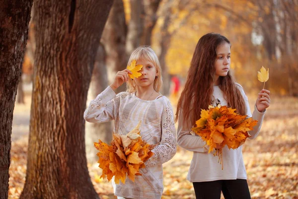 Dos Chicas Con Ramos Hojas Otoño Caminan Por Parque — Foto de Stock