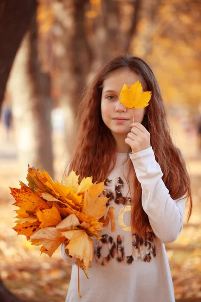 Chica Con Ramo Hojas Arce Parque Otoño — Foto de Stock