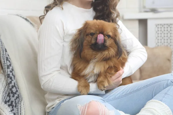 Girl holds a dog. The dog sits on the girls lap