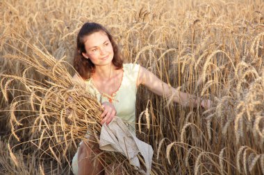 Köylü kızı tarlada buğday kulaklarına sarılıyor.