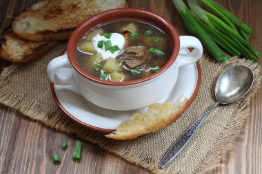 Mantarlı çorba, patates, yeşil soğan, ekşi krema ve kızarmış ekmek.