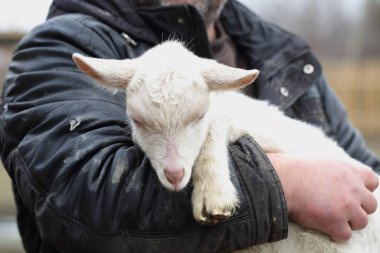 Evlat. Çocuğu tutan çiftçi.