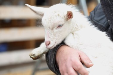 Evlat. Çocuğu tutan çiftçi.