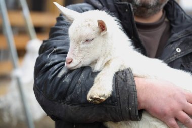 Evlat. Çocuğu tutan çiftçi.