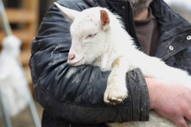 Evlat. Çocuğu tutan çiftçi.