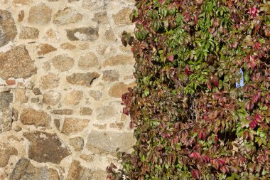 Yarım taş duvar, yarı tırmanma tesisleri