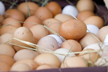 Geri kalanı üzerinde bir yumurta.