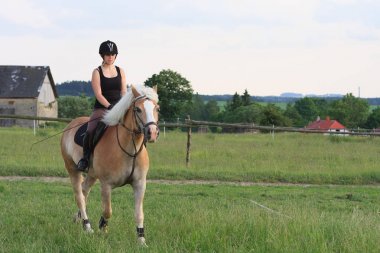 Genç bir kadın bir binicilik Haflinger