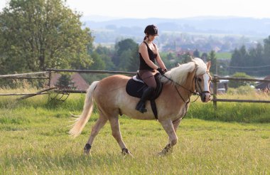 Genç bir kadın bir binicilik Haflinger