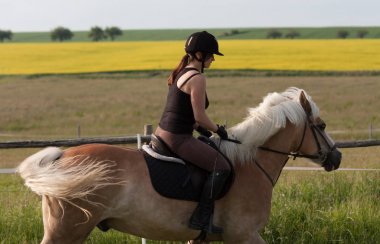 Genç bir kadın bir binicilik Haflinger