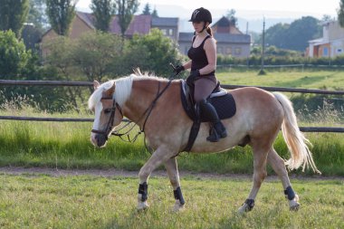 Genç bir kadın bir binicilik Haflinger
