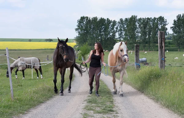 Jovem caminhando com dois cavalos — Fotografia de Stock