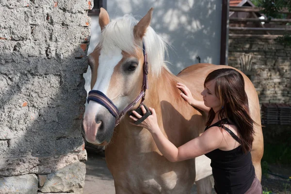 Молодая женщина чистит лошадь — стоковое фото