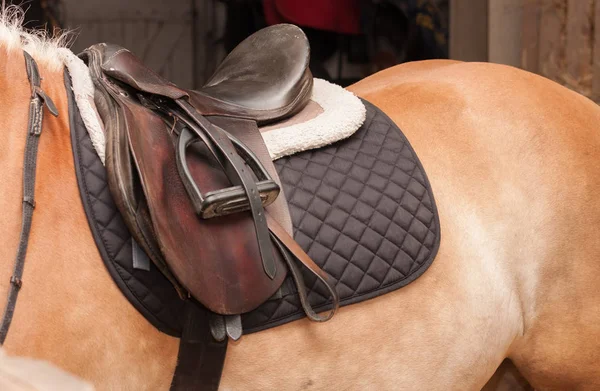 Acercamiento de silla de montar a caballo, caballo en establo — Foto de Stock