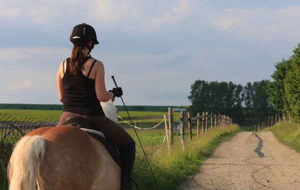 Een jonge vrouw rijden een paard Haflinger — Stockfoto