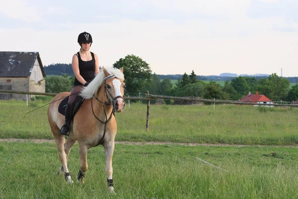 一名年轻女子骑着一匹马 Haflinger — 图库照片