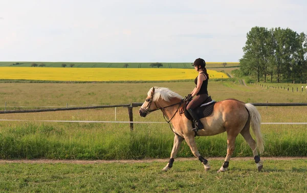 En ung kvinna som rider en häst Haflinger — Stockfoto