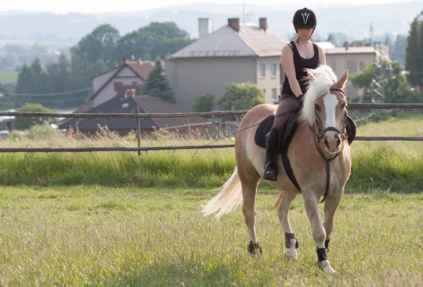 Молода жінка, верхи на коні Haflinger — стокове фото