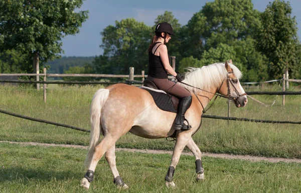 Een jonge vrouw rijden een paard Haflinger — Stockfoto