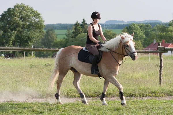 Een jonge vrouw rijden een paard Haflinger — Stockfoto