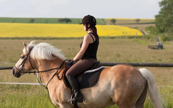 Молода жінка, верхи на коні Haflinger — стокове фото