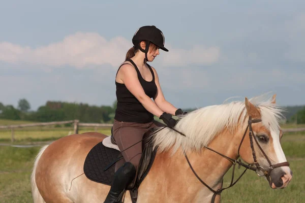 一名年轻女子骑着一匹马 Haflinger — 图库照片