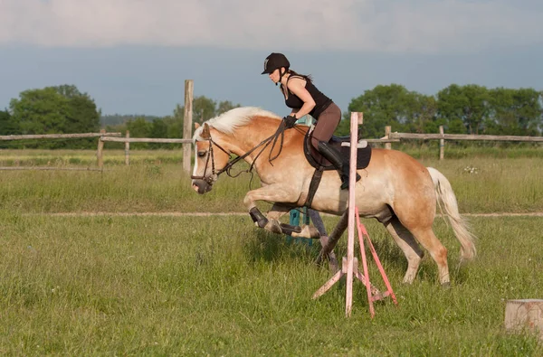 Una joven saltando sobre un obstáculo en un caballo Haflinger — Foto de Stock