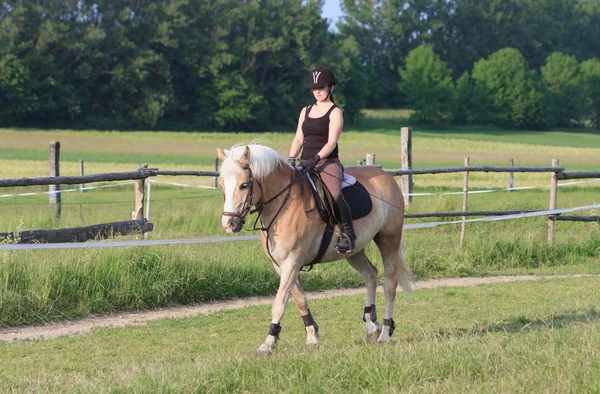 Uma jovem montando um cavalo Haflinger — Fotografia de Stock